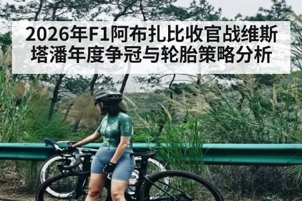 2026年F1阿布扎比收官战维斯塔潘年度争冠与轮胎策略分析